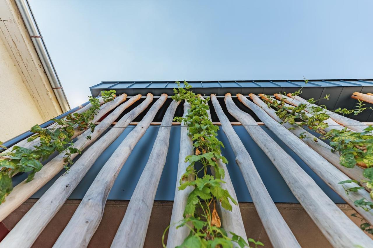 Gasthof Bogenrieder Pörnbach Exteriér fotografie